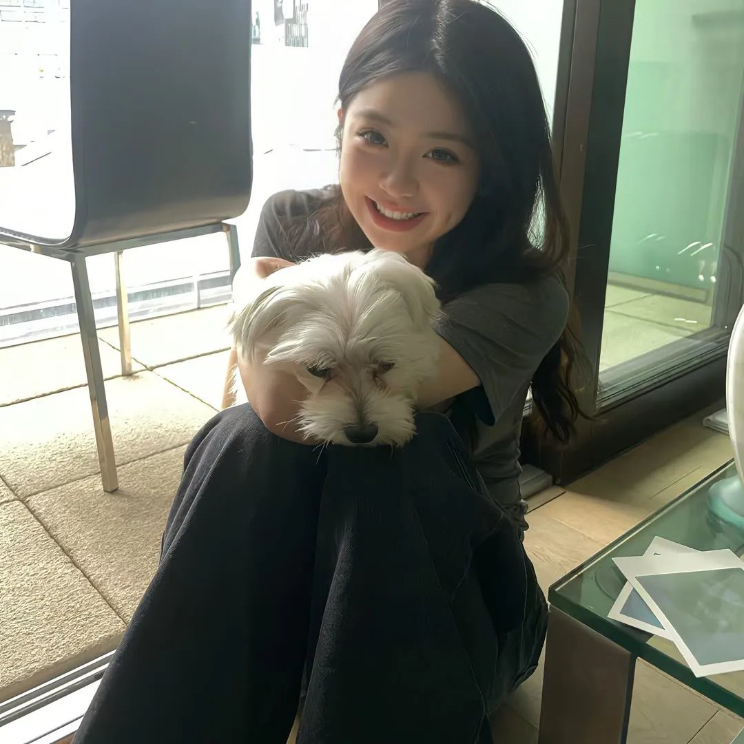 猫与苍蝇